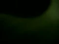 和情人第五部