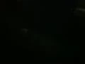 网吧自慰女又出现了(1)