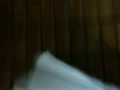 内射了个90后小嫩B