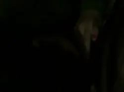 操小姐，吹的特别爽，屁股很大有对白露脸