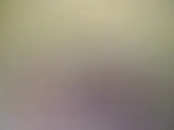 操刚成年的粉木耳