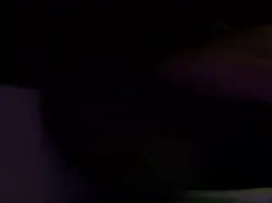 骚b丝袜