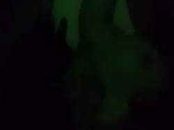龙华桑拿！大胸妹
