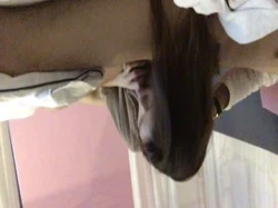 新人报道