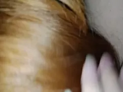 姐夫军训和姐姐出来开房