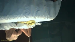 求欲不滿的良家熟女 2(申請邀請碼)