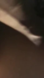 女友的性感