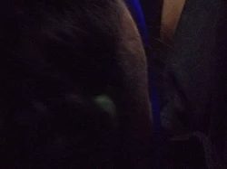 电影院与小M的多重享受