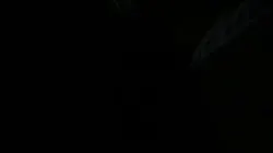 小女孩的blowjob