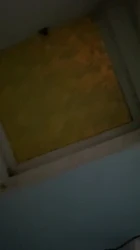 国庆约大胸妹妹书房猛干 浙江 上海 嘉兴