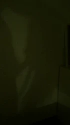 新人自拍，本人夫妻