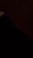 00后小母狗口交