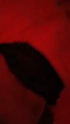暗夜的呻吟