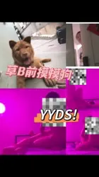 175白净大长腿妹子，楼下摸狗楼上摸B