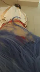 甘雨咬人