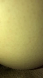 自拍系列！可定制