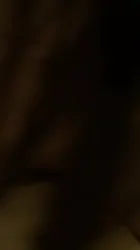 今天也有在努力做爱