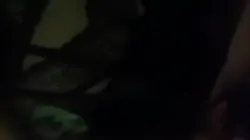 情趣