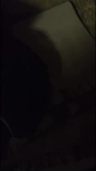 无锡松竹苑良家