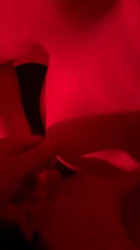 小母狗的发情5