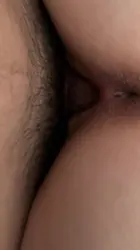 自动吸