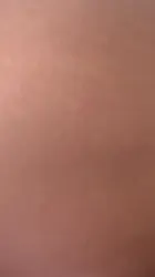 车震骚逼