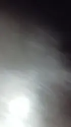 人妻的骚逼