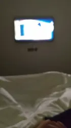 91认证申请