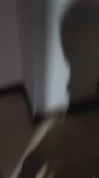 这家伙，果然不一样