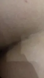 大干七星瓢虫