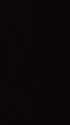 车上口爆刺激