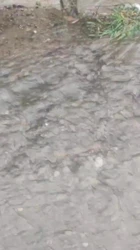骚炮友