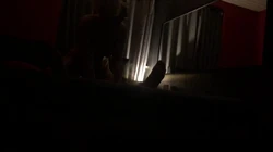 瑞士因特拉肯睡的金发碧眼的洋马