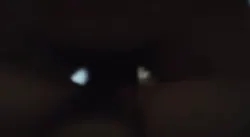 找单男3p老婆
