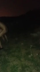 老婆的屄被单男肏2-2