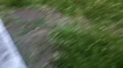 坐标0512，来小树林野战，很刺激，苏州吴江附近的女生或少妇可约我