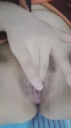 网调母狗自慰 接教学 互换