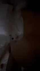 不看后悔！ 两指爆菊后入肥臀母狗（下集）