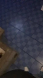 凌晨1点和母狗在女公厕干 给我口 一边直播