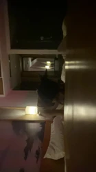 露脸骚货主动说再找个鸡巴大的一起操她，直接给你叫射"