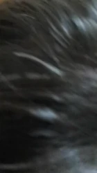 骚比2