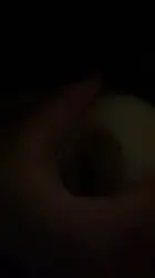 东京找固炮