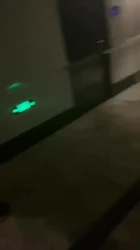 酒店走廊漏出操母狗
