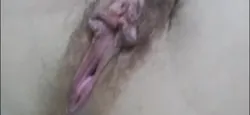网调少妇露b发骚