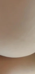 山东行1