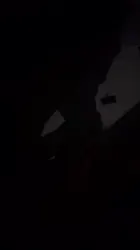 影子口交