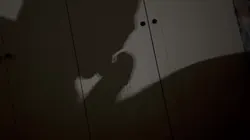 影子里面的激情