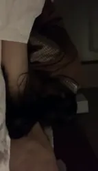 再调潍坊小母狗