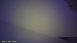 来给大姐舔逼
