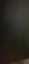 少妇露脸口技一流